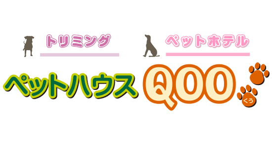 木古内町のペットトリミングやペットホテルはペットハウスQOOへ